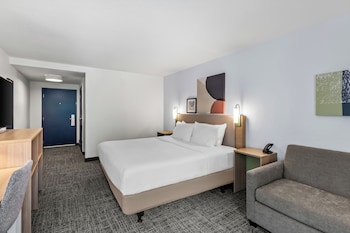 Room, 1 King Bed, Accessible (Roll-In Shower)