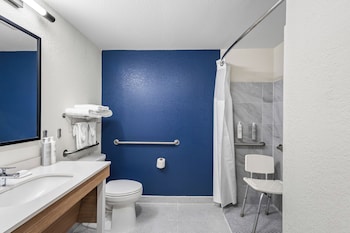 Room, 1 King Bed, Accessible (Roll-In Shower)