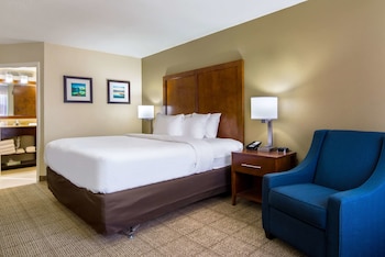 Standard Room, 1 King Bed, Non Smoking
