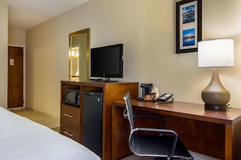 Room, 1 King Bed, Non Smoking