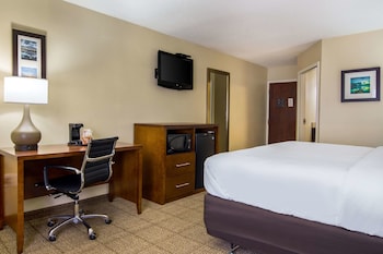 Room, 1 King Bed, Accessible, Non Smoking