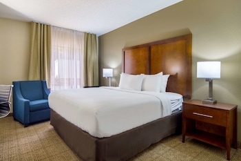 Room, 1 King Bed, Non Smoking