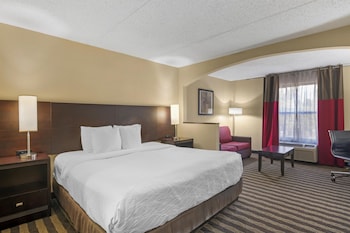Standard Room, 1 King Bed, Accessible, Refrigerator & Microwave