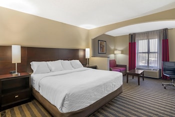 Standard Room, 1 King Bed, Non Smoking, Refrigerator & Microwave