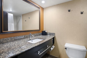 Standard Room, 1 King Bed, Non Smoking, Refrigerator & Microwave