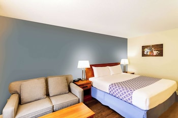Standard Room, 1 King Bed with Sofa bed, Non Smoking