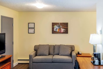 Suite, 1 Queen Bed with Sofa bed, Non Smoking, Courtyard View