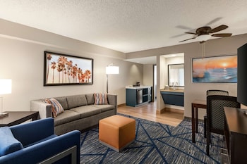 Suite, 1 King Bed, Accessible Bathtub