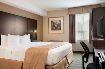 Room, 1 King Bed, Non Smoking