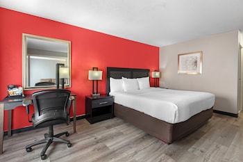 Suite, 1 King Bed with Sofa bed, Non Smoking