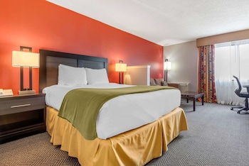 Room, 1 Queen Bed, Non Smoking