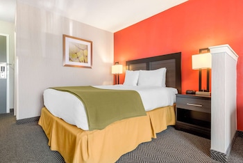 Room, 1 Queen Bed, Non Smoking