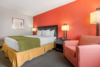 Standard Room, 1 King Bed, Non Smoking