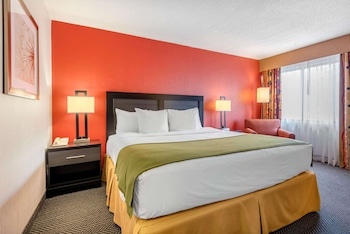 Standard Room, 1 King Bed, Non Smoking