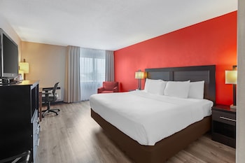 Room, 1 Queen Bed, Non Smoking