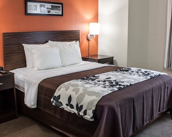 Room, 1 Queen Bed, Accessible, Non Smoking