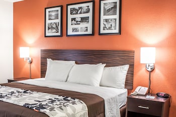 Standard Room, 1 King Bed, Non Smoking
