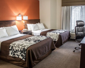 Standard Double Room, 2 Double Beds