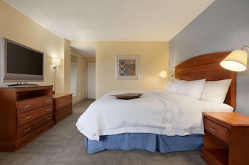 Accessible Room, 1 King Bed (Mobility Bathtub)