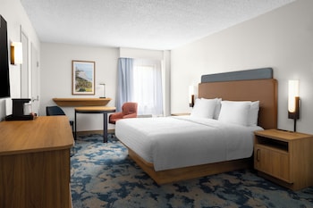 Accessible Room, 1 King Bed (Roll-In Shower)