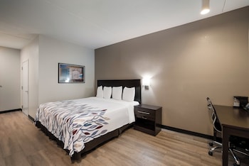 Superior Room, 1 King Bed (Smoke Free)