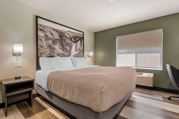 Standard Room, 1 King Bed, Non Smoking, Ground Floor