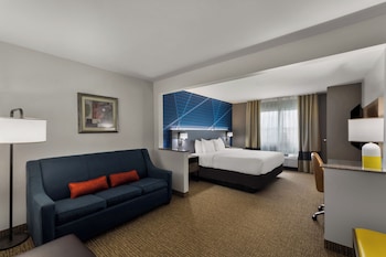 Suite, 1 King Bed with Sofa bed, Non Smoking