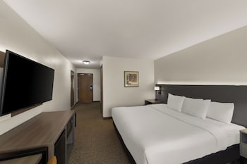 Standard Room, 1 King Bed, Non Smoking