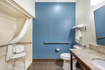 Standard Room, 1 Queen Bed, Accessible, Non Smoking