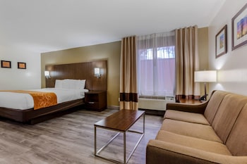 Suite, 1 King Bed with Sofa bed, Accessible, Non Smoking