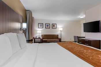 Suite, 1 King Bed with Sofa bed, Accessible, Non Smoking