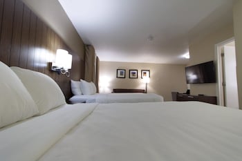 Suite, Multiple Beds, Non Smoking (Efficiency)
