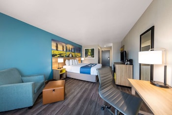 Room, 1 King Bed, Non Smoking