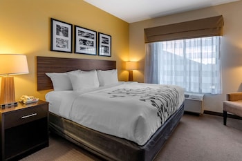 Suite, 1 King Bed with Sofa bed, Non Smoking