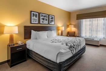 Room, 1 King Bed, Accessible, Non Smoking (Accessible Tub)