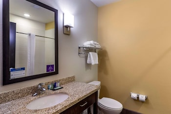 Suite, 1 King Bed with Sofa bed, Non Smoking