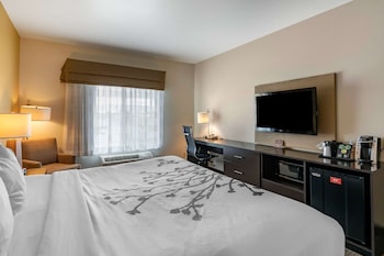 Room, 1 King Bed, Accessible, Non Smoking (Accessible Tub)