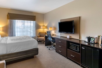 Room, 1 King Bed, Accessible, Non Smoking (Accessible Tub)