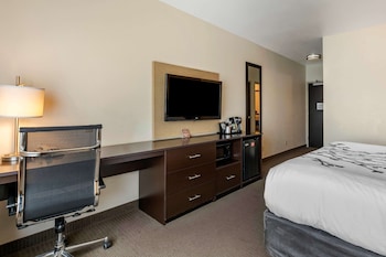 Room, 1 King Bed, Accessible, Non Smoking (Accessible Tub)
