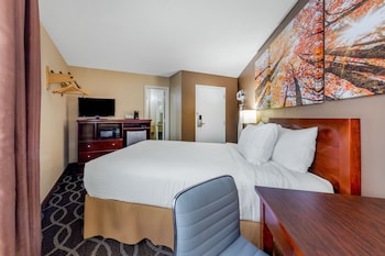 Room, 1 Queen Bed, Non Smoking