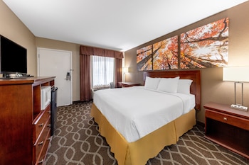 Room, 1 King Bed, Non Smoking, Refrigerator