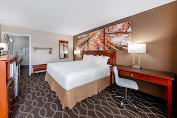 Room, 1 King Bed, Accessible, Non Smoking (Mobility)