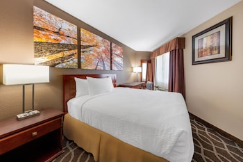 Room, 1 Queen Bed, Non Smoking