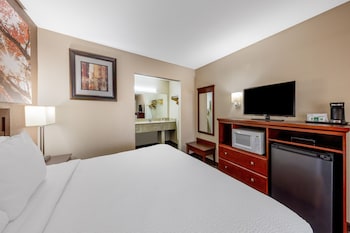 Room, 1 King Bed, Non Smoking, Refrigerator