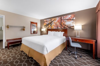 Room, 1 King Bed, Accessible, Non Smoking (Mobility)