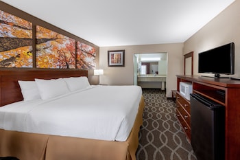 Room, 1 King Bed, Non Smoking, Refrigerator