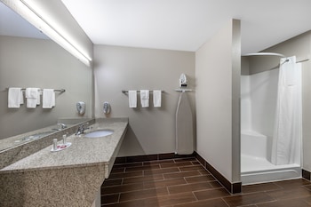 Room, 1 King Bed, Accessible, Non Smoking (Mobility)