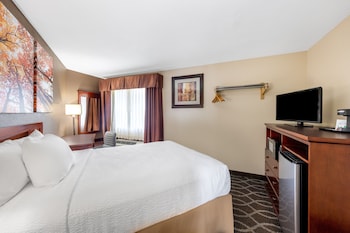 Room, 1 Queen Bed, Non Smoking
