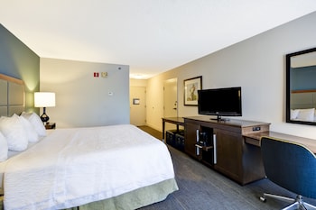 Room, 1 King Bed, Accessible, Bathtub (Hearing)