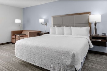 Room, 1 King Bed, Accessible, Bathtub (Hearing)